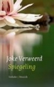 Productafbeelding Spiegeling