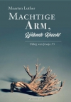 Productafbeelding Machtige arm, lijdende kracht