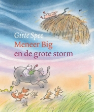 Productafbeelding Meneer Big en de grote storm