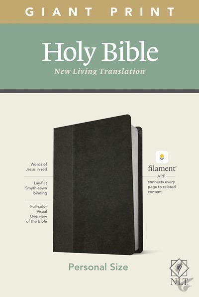 Productafbeelding: voorkant van NLT - Giant print bible - personal ed.