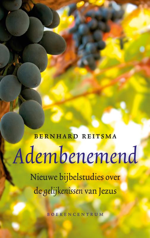 Productafbeelding: voorkant van Adembenemend