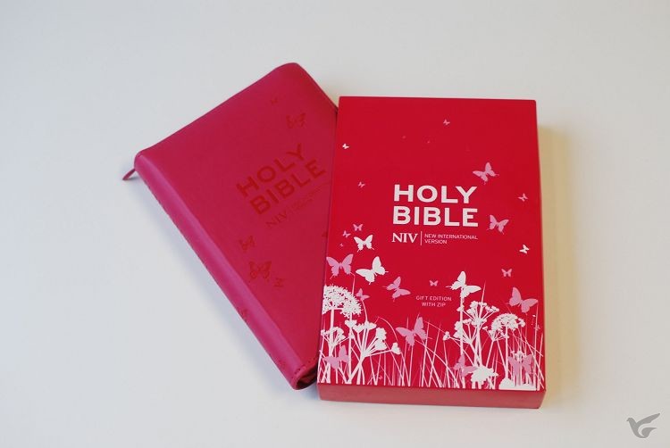 Productafbeelding: voorkant van NIV - Tiny Bible With Zip